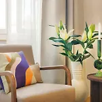 Apartman Homie Dominikus *