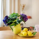 Apartman Homie Dominikus